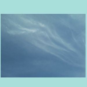 Meet your Posher, Cassidy